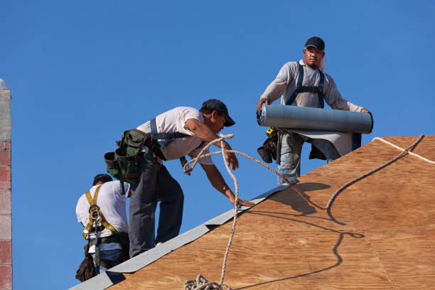 Best Roof Gutter Cleaning  in Meeker, OK